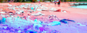 Beach showing plastic bottle of water with other derby.