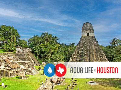 ancient water filtration system in Tikal